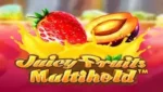 Juicy Fruits Multihold
