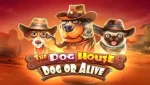 TheDogHouse-DogorAlive